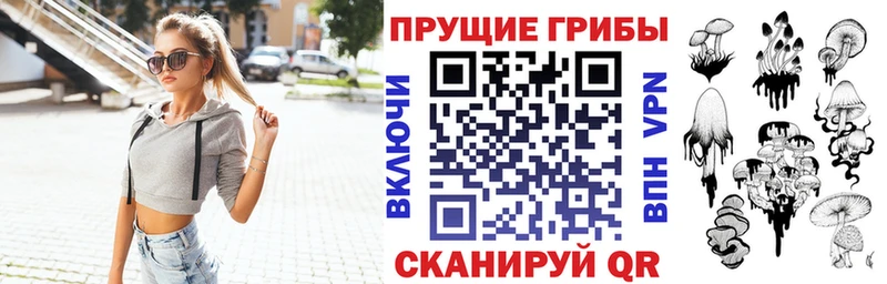 Псилоцибиновые грибы Psilocybe  Верея 